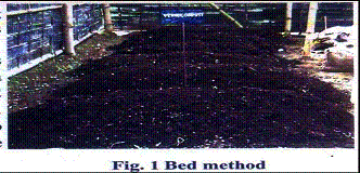 vermi composting Bed Method