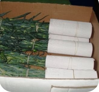 Corrugated boxes packaging of Carnation 