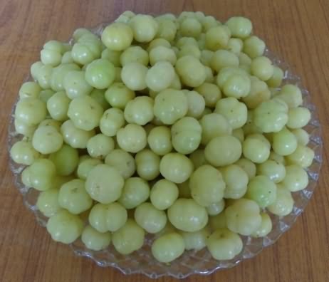 Blanched fruits of star gooseberry