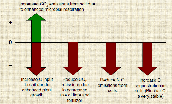 Net impact of biochar applications in soil