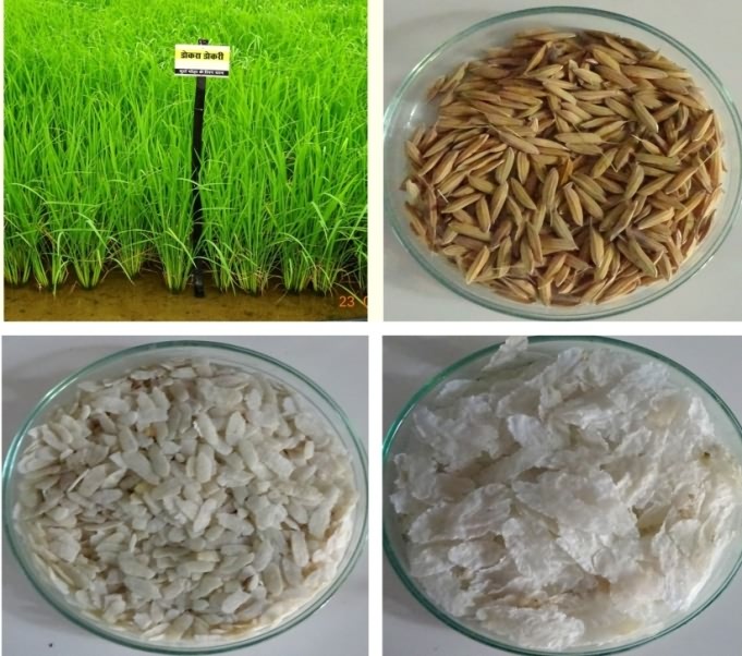 Value addition in rice