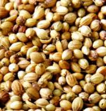 Medicinal properties of coriander seeds