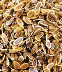 Medicinal properties of soya seeds