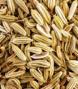 Medicinal properties of fennel seeds
