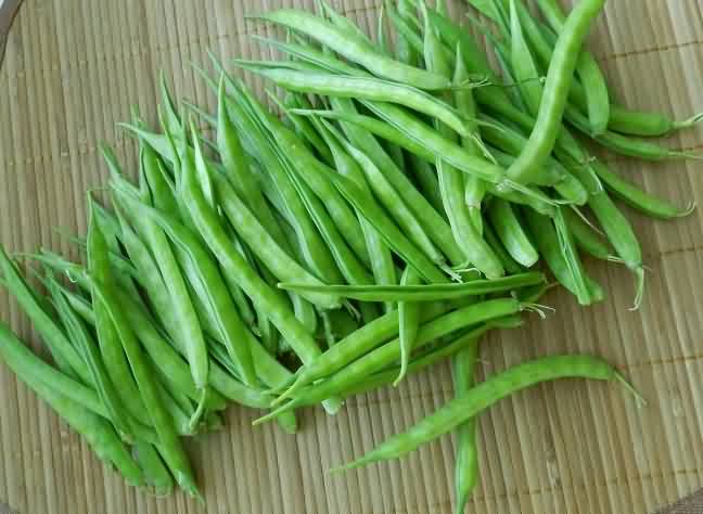 Green pods of Cluster bean used as vegetable
