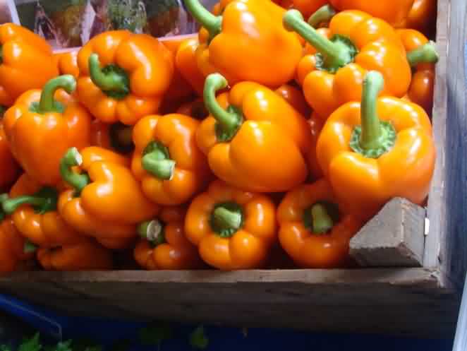 Display of coloured capsicums