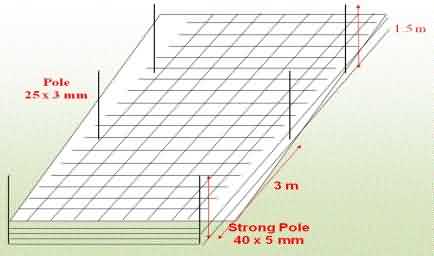 carnation crop support or Netting