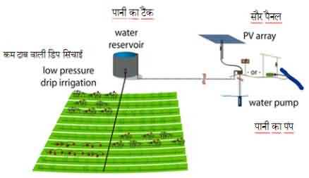 Solar drip irrigation system