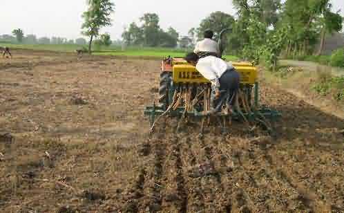 Paddy cultivation in low cost by zero tillage (Direct sowing) technique 