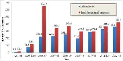 Export of dried flowers and total floricultural products