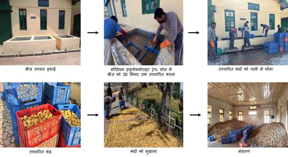 सोडियम हाइपोक्लोराइट 2% घोल से बीज उपचार विधि