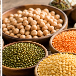 दालें चना मूंग और अन्य फलियां Pulses and legumes