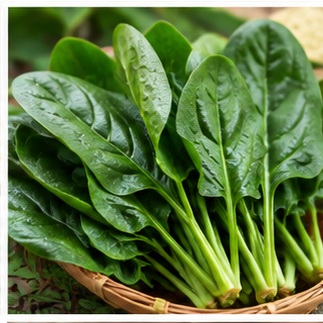 हरी पत्तेदार सब्जियां पालक और अन्य leafy vegetables