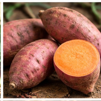 ताजा शकरकंद Sweet potato