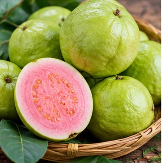 ताजा अमरूद Guava fruit