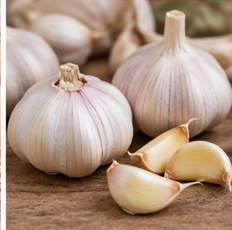 ताजा लहसुन की गांठ और कलियां Fresh garlic
