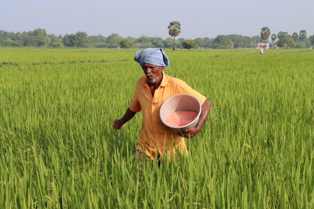 Fertilizer application का सही तरीका crop और soil condition के अनुसार तय किया जाना चाहिए।