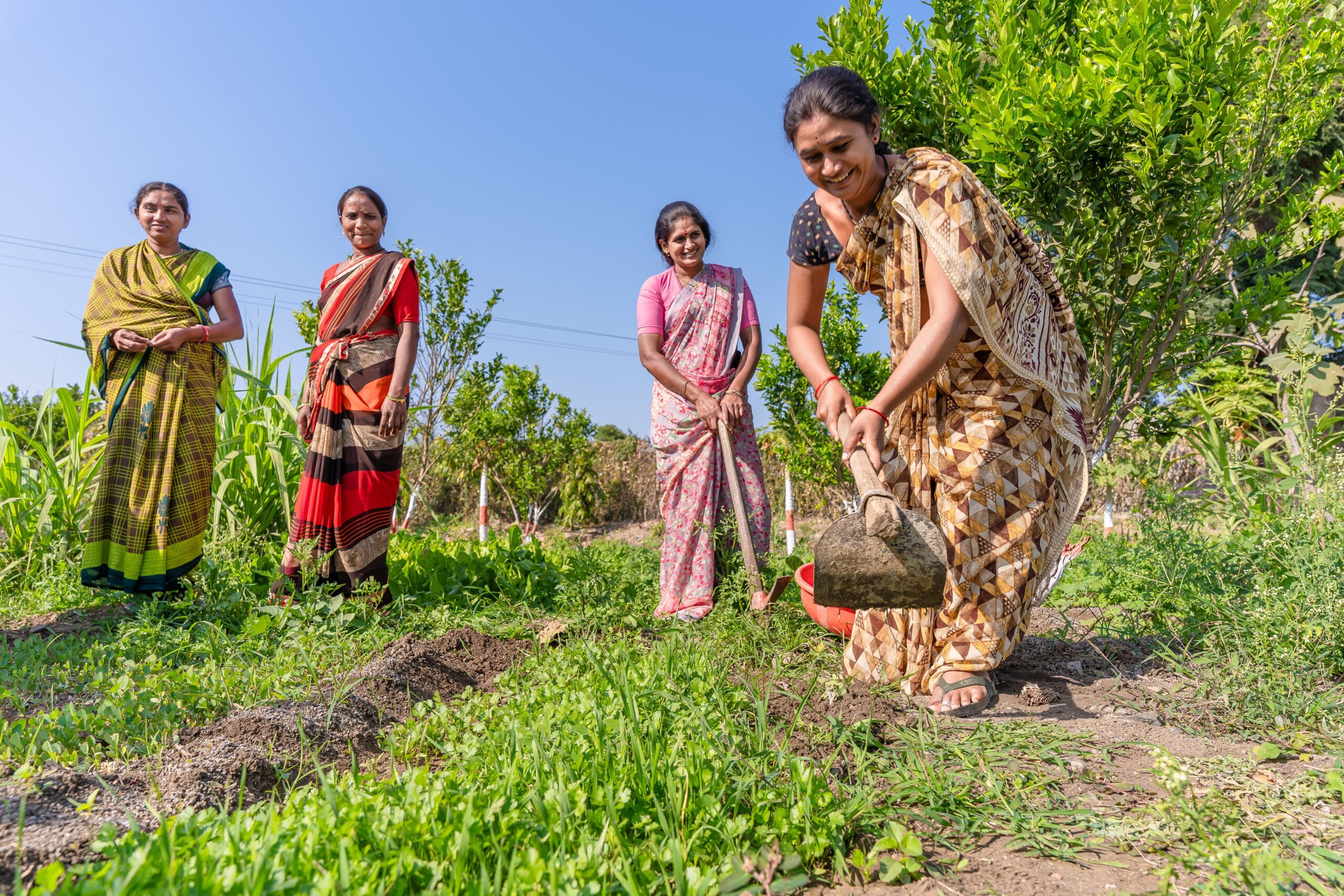 Crop और soil की स्थिति को देखकर fertilizer planning करना अधिक उपयोगी होता है।